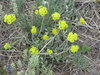 High desert 4
