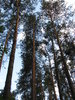 Belarusian Countryside 2