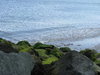 Bray Coast 4