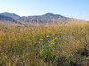 Colorado October