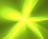 Fluo Daisy