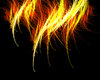 Let the flames begin