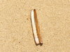 In the sand 1