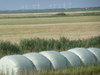 Countryside
