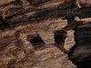 Texture