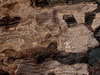 Texture