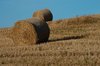 Stubble field 1