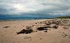 Deserted beach