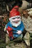 Garden gnome 1
