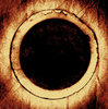 Coffee Filter 4
