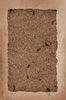 Torn Paper 2