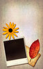 Canvas Collage 2