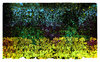 Abstract 2