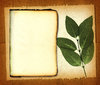 Leaf Paper 2