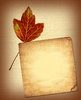 Fall Leaf Collage 1
