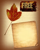 Fall Leaf Collage 3