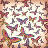 Butterfly Collage