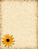 Texture Collage 3