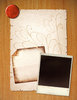 Torn Paper 4