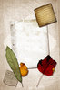 Canvas Collage 5