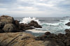 wild sea