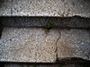 old stairs