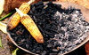 Corn