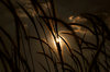 Glow 3