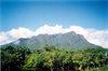Montain