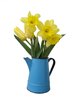 Spring pot