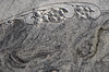 Stone Texture