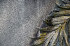 Stone Texture