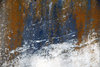 Stone Texture
