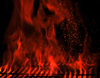 Grilled