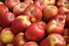 Apples