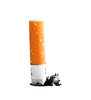 Cigarette Butt