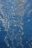 Water reflection 2