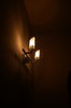 light on the wall 1
