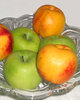 Fruits and fruits