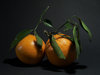 Oranges 1