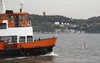 Boat and gull