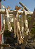 Fish drying