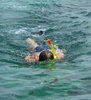 Diver in water