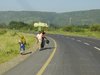 African life
