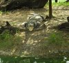 Lazy afternoon