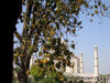 Taj E 4