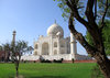 Taj D 2