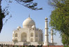 Taj D 4