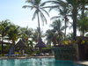isla margarita Palms