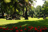 The garden